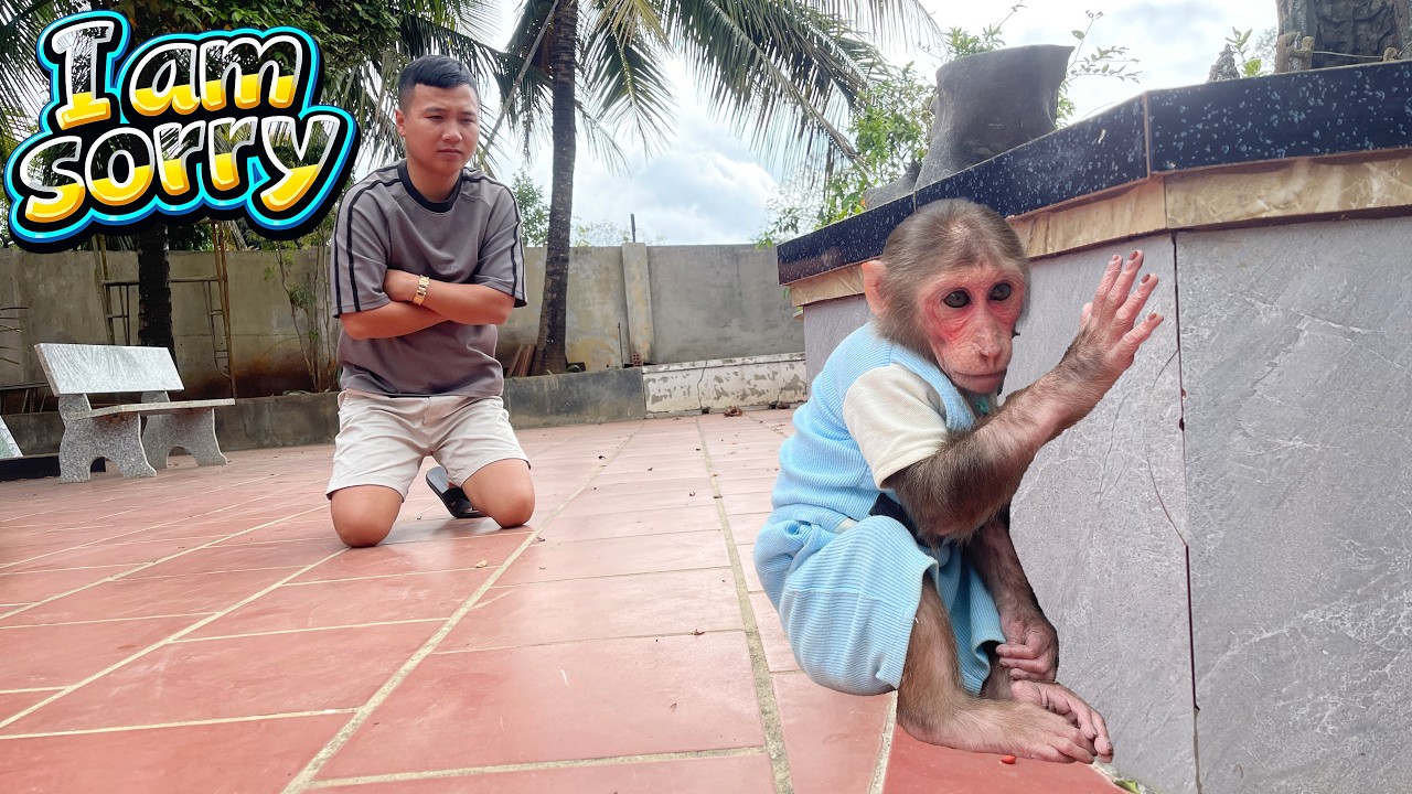 Dad Made One Tiny Mistake… And Cubis Was NOT Happy! 😳