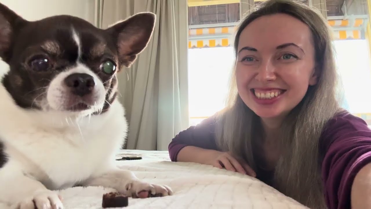 Аномально ранняя весна в Швейцарии