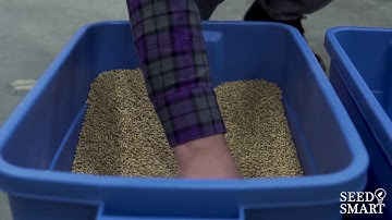 Seed Sampling Instructional Video