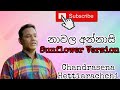 Nawala Annasi ( නාවල අන්නාසි ) - @chandrasenahettiarachchi Sunflower Version