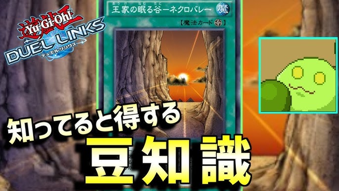 これ知ってる 王家の眠る谷ネクロバレー 豆知識クイズ 遊戯王デュエルリンクス Vtuber Youtube これ知ってる 王家の眠る谷ネクロバレー 豆知識クイズ 遊戯王デュエルリンクス Vtuber Youtube