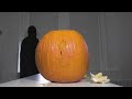 NYU-Themed Pumpkin Carving by Hooded Guy