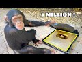 MONKEY UNBOXES MY GOLD PLAY BUTTON !