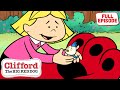 And Birdy Makes Three | Full Episode | Cartoons for Kids | Clifford the Big Red Dog