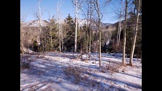 10.23 Acres: Ski in Ski out in The Cuchara Park Resort