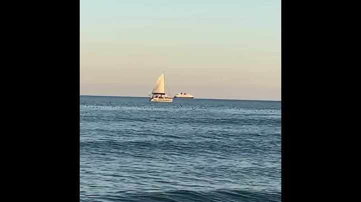 Come sail away