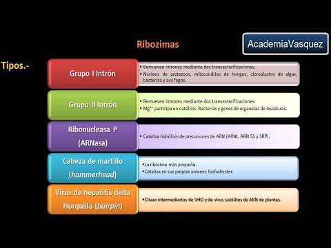 Vídeo: Imágenes PET De Tau: Direcciones Actuales Y Futuras