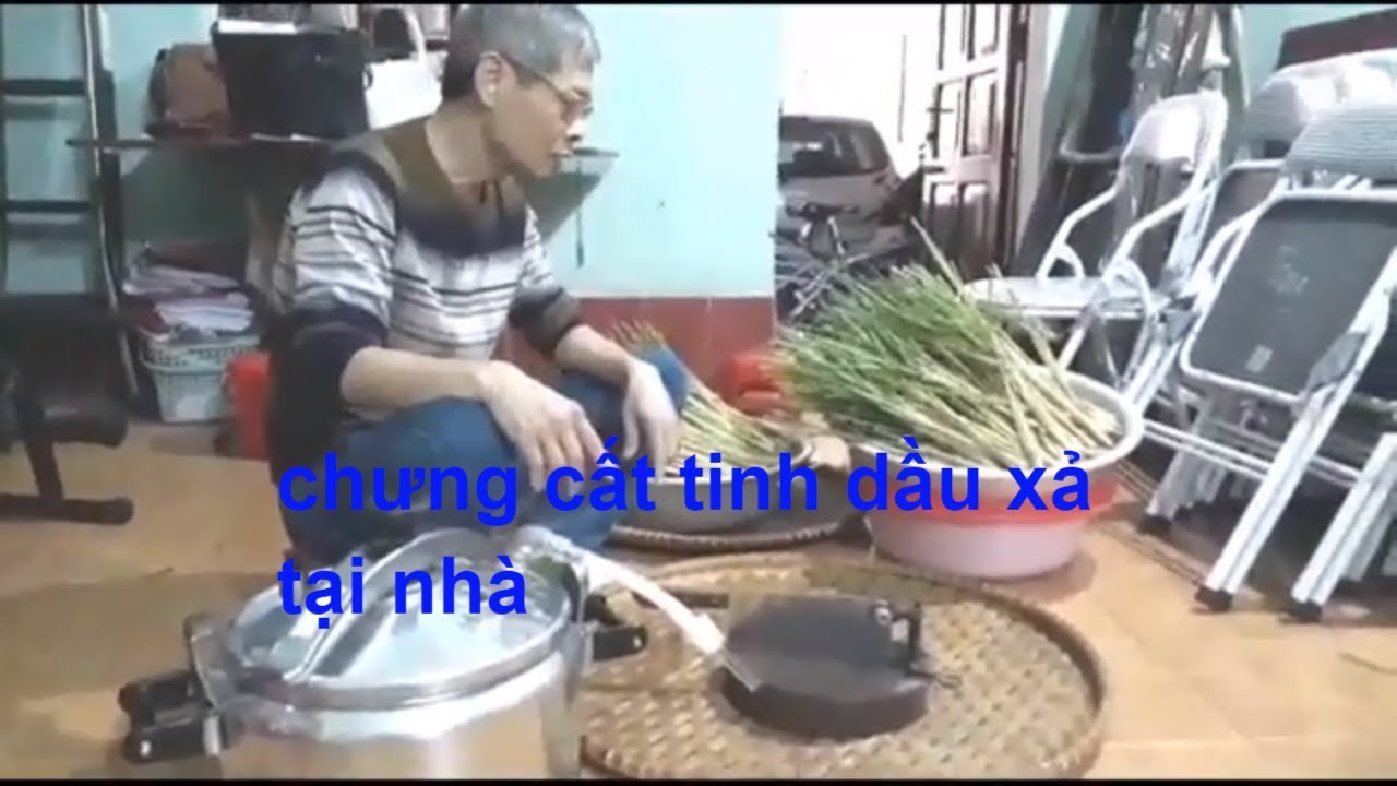 Cách chưng cất tinh dầu sả, chiết xuất tinh dầu sả