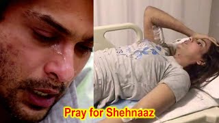Shehnaaz Gill Critical Health Condition, Sidharth Shukla Mother Taking Care of her