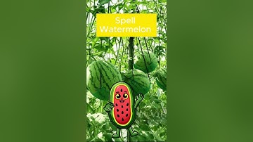 Watermelon: I