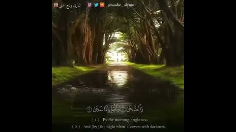 القارئ وديع اليمني ( والضحى واليل اذا سجى ...)
