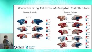8th BigBrain Workshop 2024: Mapping neurotransmitter receptor distributions in the macaque cortex