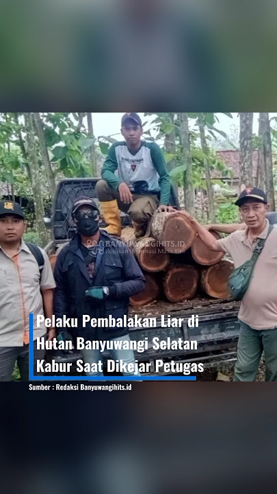 Pelaku Pembalakan Liar di Hutan Banyuwangi Selatan Kabur Saat Dikejar Petugas #beritabanyuwangi