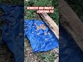 Homeless Man builds a Compound in the Woods Pt3 #yeshuainthewoods #bushcraft #survival