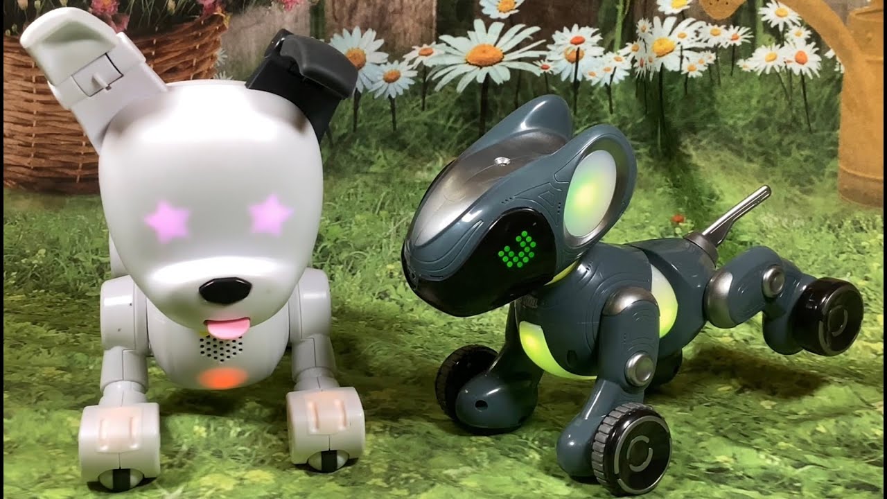 Wowwee Dog-E Robot Dog & Educational Insights Pyxel Coder's Best Friend ...
