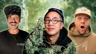 Pro Home Grower Tips for Automated Watering  | AC Infinity After Dark Episode 32 ft. autopotamus