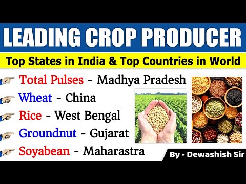 Video: Wat produceert het meest in India?