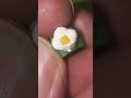 getting closer to the flower  bead my daughter wanted #3dprinting #ponybeads #kandi #flower