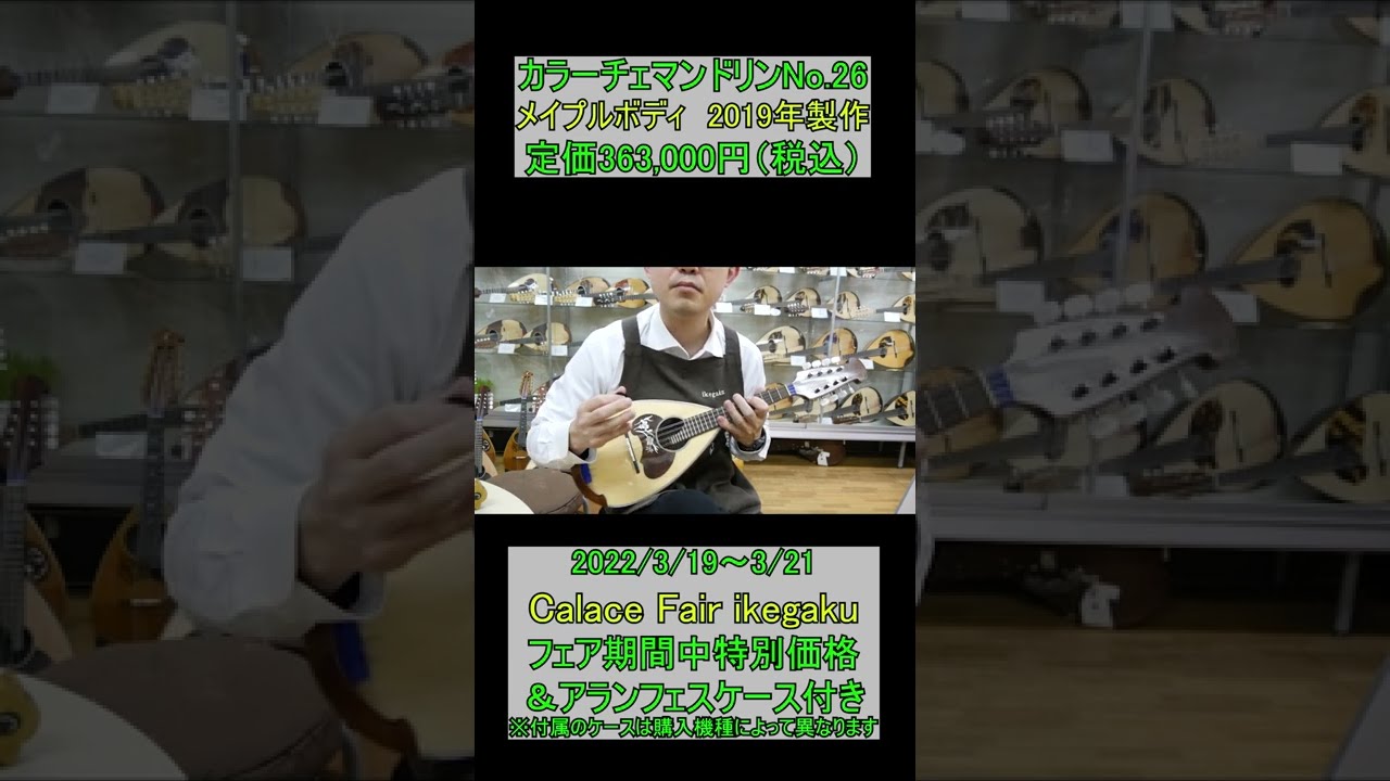 カラーチェマンドリンNo.26 メイプルボディ #short #イケガク