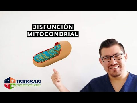 Vídeo: Estrategia De Terapia Potencial: Enfocarse En La Disfunción Mitocondrial En La Sepsis