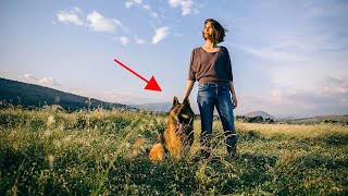 How to train a dog stop eating grass?