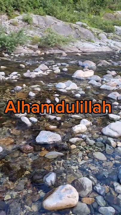 Alhamdulillah #allah #maghfirat #muhammadﷺ #salawat #istighfar #quran #zikir #dua #islam #muslim #aa
