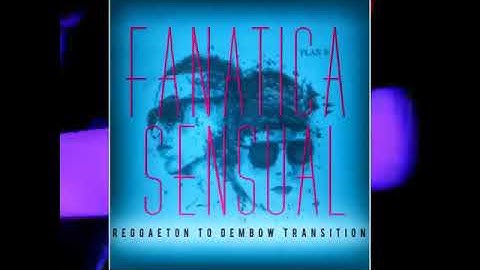 Plan b Fanatica Sensual Transition and Intro Pack