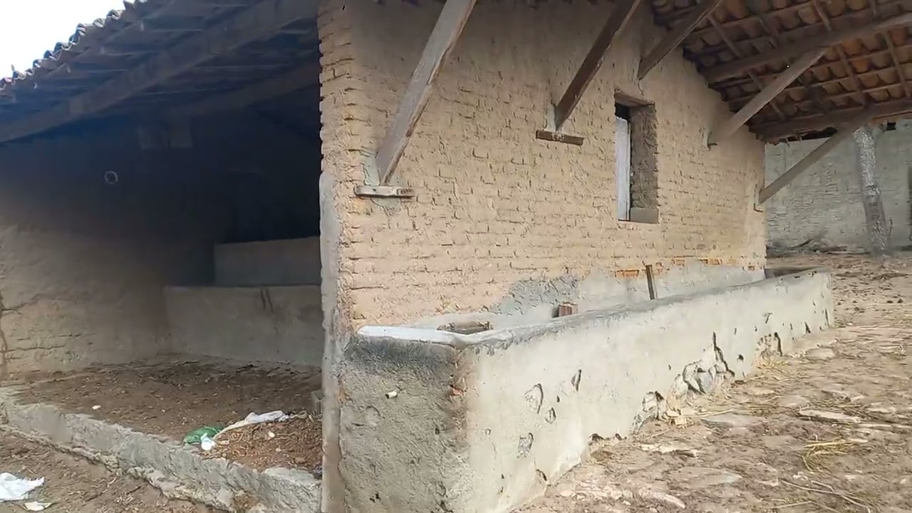 Vende-se  em Laje de farinha  São Caetano  PE f 81.98957-4976 