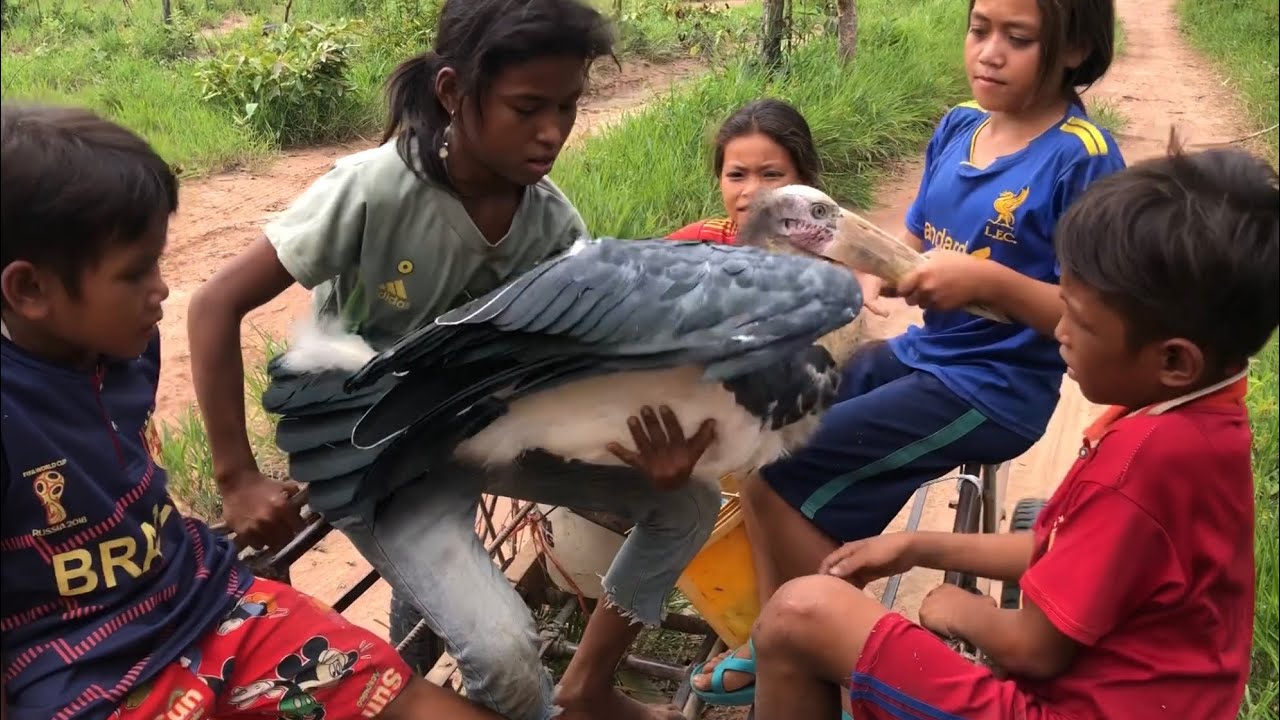 សកម្មភាពក្មេងជួយសត្វត្រដកនៅព្រៃសង្ឃរុក្ខាវ័ន