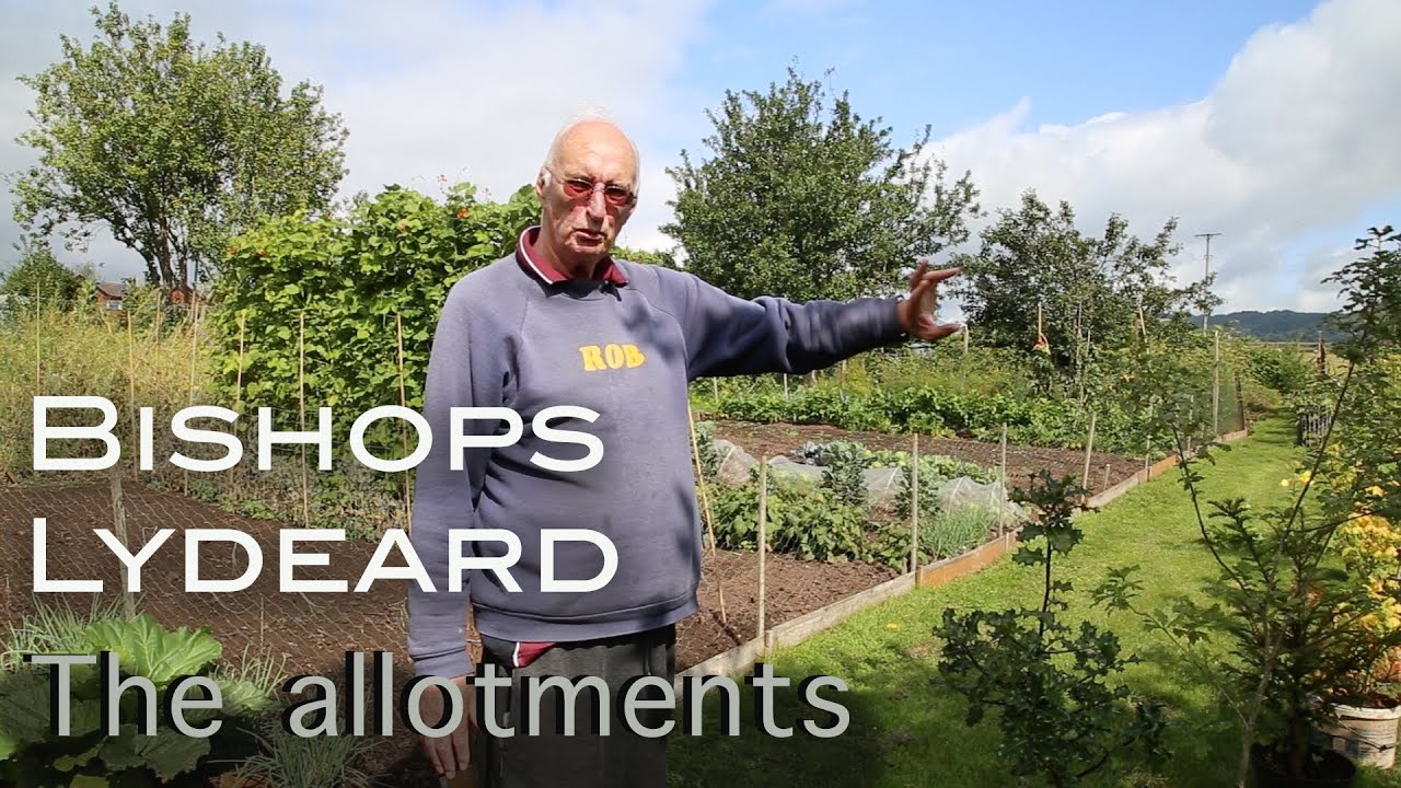 The Allotments Village Life in Lydeard, Somerset, UK YouTube