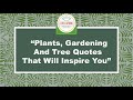 Plants gardening and tree quotes sayings that will inspire you lutolutuanchannel