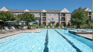 Montgomery mills WebM
