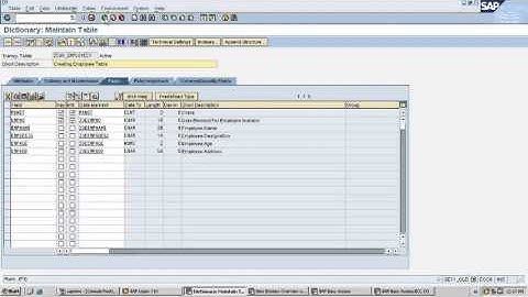 SAP ABAP Creating Table maintenance generator For  Tables