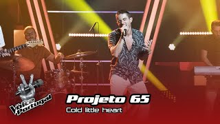 Projeto 65  - 