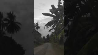 Travel Cam (Mabunao National High School to Home)