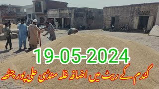 Gandum ka rate in Ghalla Mandi Ali pur chatha 19-05-2024 Resimi