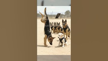 Young Brave , 1st Day at Training Camp !