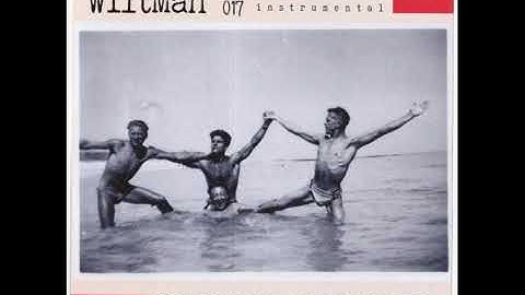 WiltMan 012/017 Compil Instrumental (Full Album)