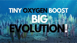 How a Little Oxygen Sparked a Massive Evolutionary Boom