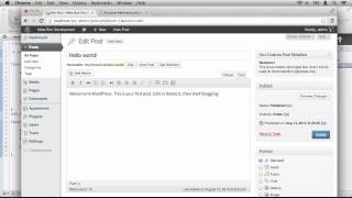 Working With Meta Boxes In WordPress Part 5