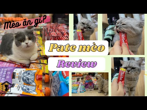 Video: Cho Mèo ăn Theo Chế độ ăn Dựa Trên Tự Nhiên - Thức ăn Cho Mèo Hoang Dã