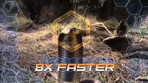 Nerf N Strike Elite Rampage & Retaliator TV Commercial Presented by John Brenkus from Sport Science