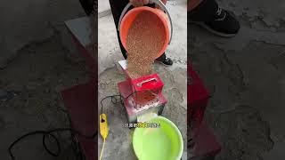 A small grain mill truly suitable for rural families #milling#Rural#Good stuff to share with you all
