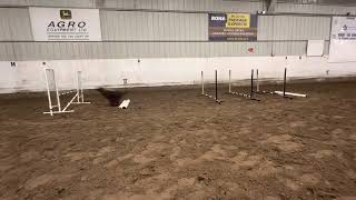 Advanced jumping more bump grid 31Jan22