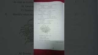 #Class 6th #Science SA-1 Question paper. Oct2023
