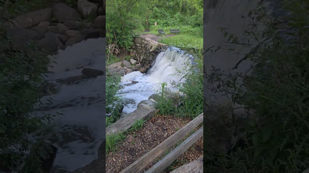 Another beautiful day on the trail!  #nature #outdoors #hiking