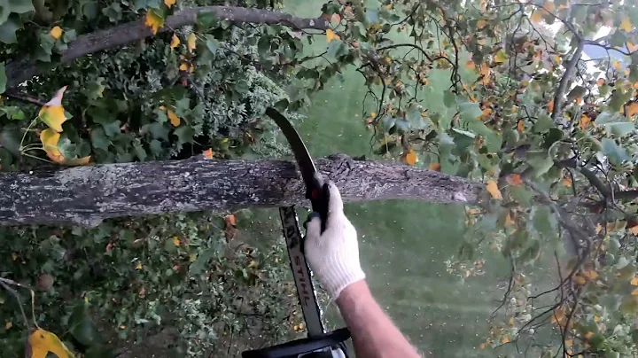 Tension Vs Compression Where Is The Strength