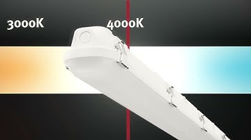 Lexco ALRAI Single DALI LED CCT Batten | Screwfix