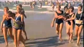 Let Him Run Wild - Beach Boys (cover)