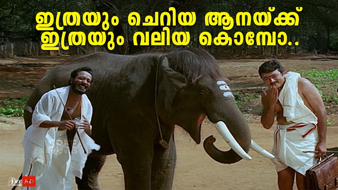 ഇപ്പോൾ നാട്ടുകാരെല്ലാം കൂടി എല്ലു ഊരിയെനെ..🤣🤣 | Jayaram | Harisree Ashokan | Jagathy | Indrans